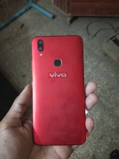 vivo