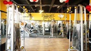 Commercial Gym Setup || Gym Setup || Gym Machines || Gym For Sal