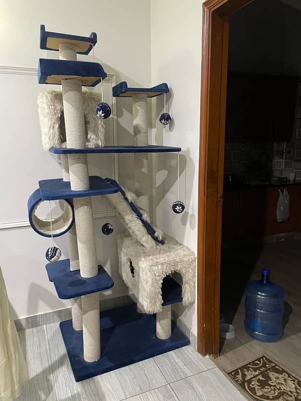 Brand New Cat Tree 1