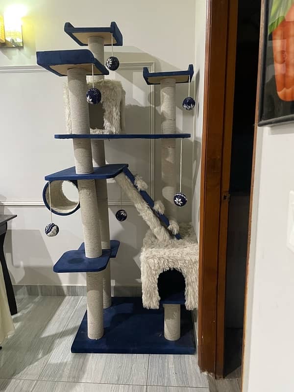 Brand New Cat Tree 2