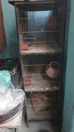 6 portions of cage