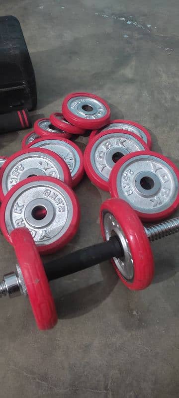 dumbbells 2