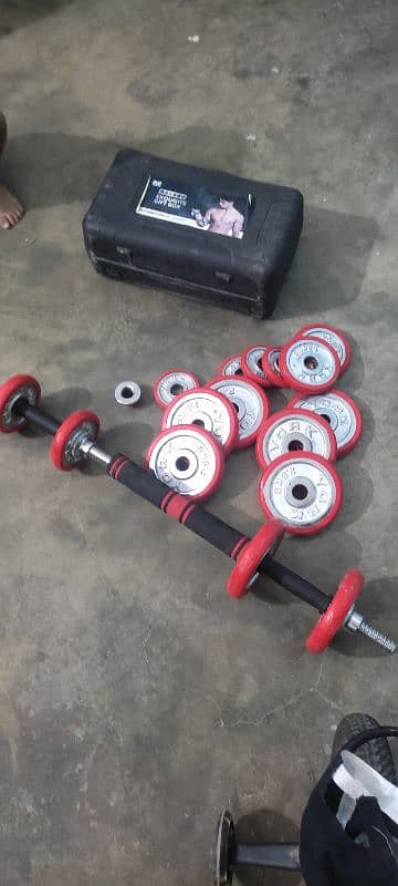 dumbbells 3