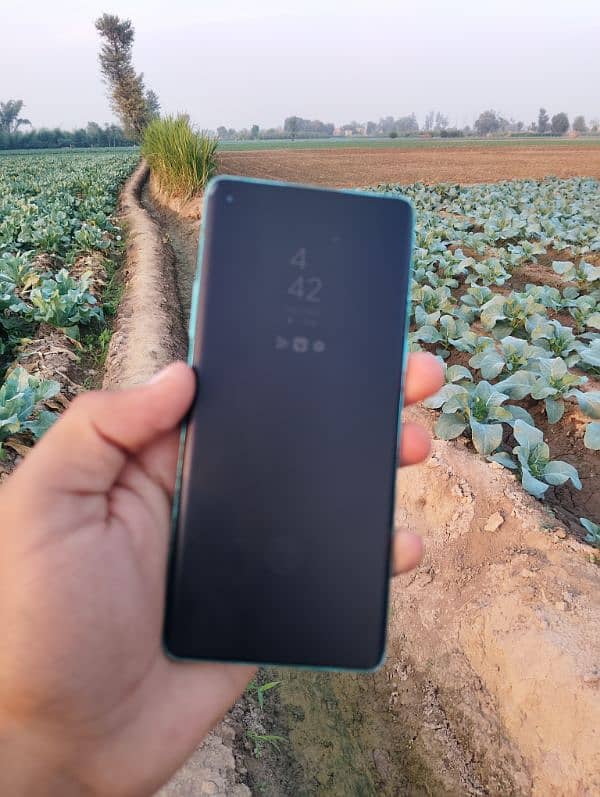 one plus 8 12+4/256 dual sim 5