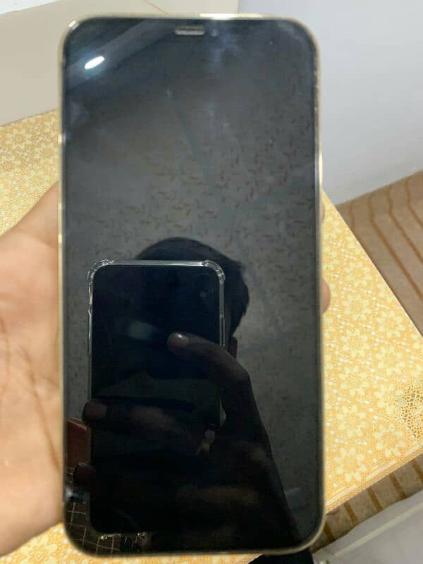 iphone 12pro max non pta 3