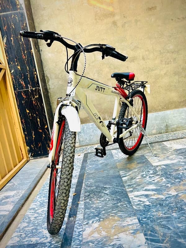 American Eagle Branded Mountain Bike 13