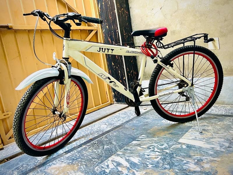 American Eagle Branded Mountain Bike 15