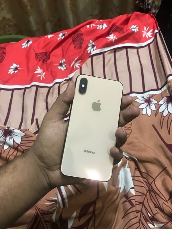 iPhone XS Factory Unlock 1