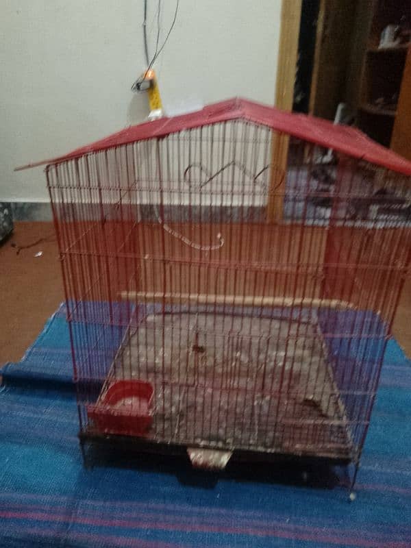 cage for parrots 1