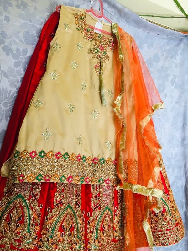 kids girls lehnga cholli with dubata 7