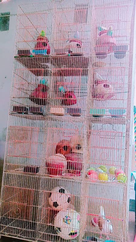 Pinjra/ A cage with 12 boxes is available for sale 0