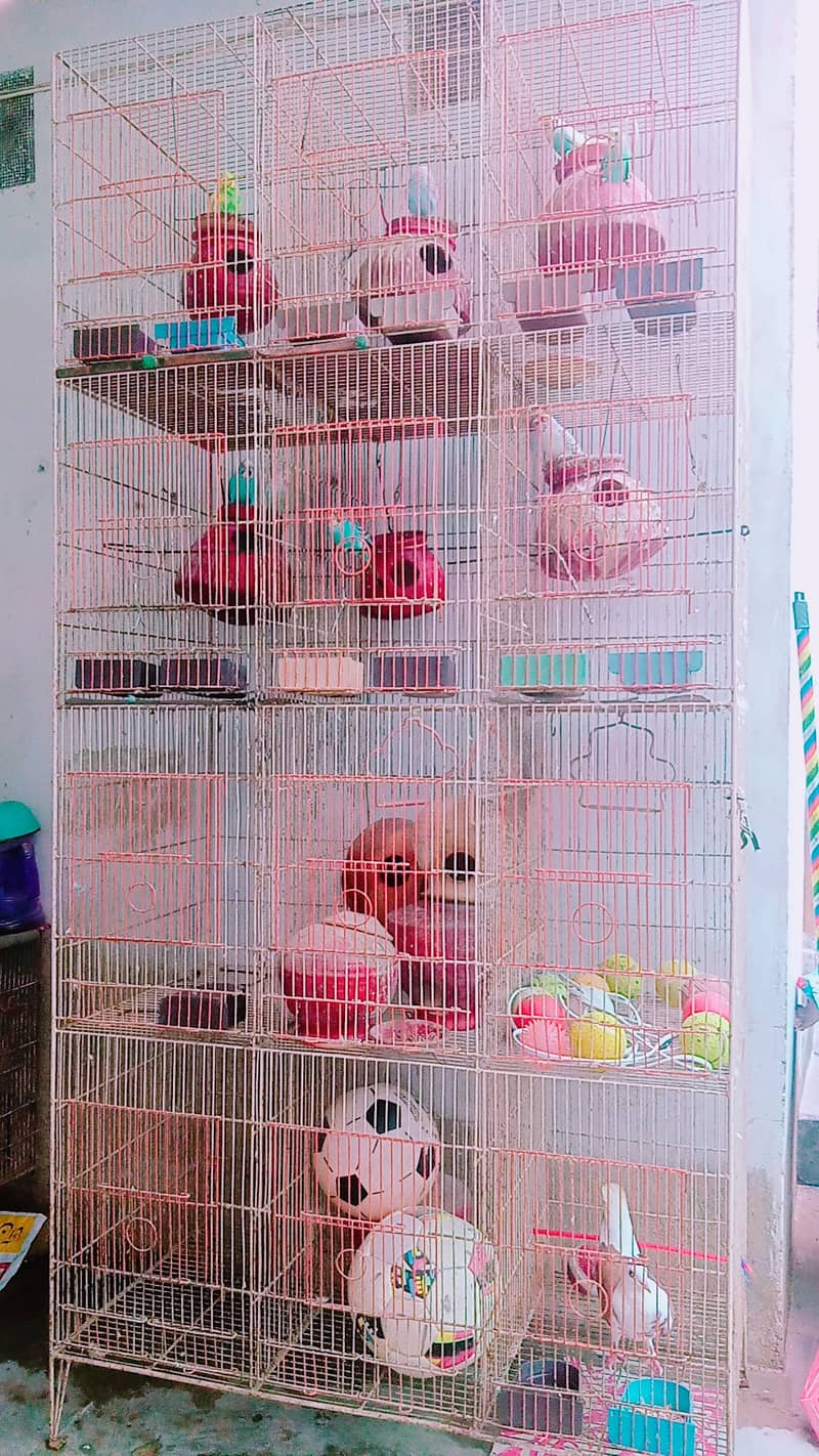 Pinjra/ A cage with 12 boxes is available for sale 1