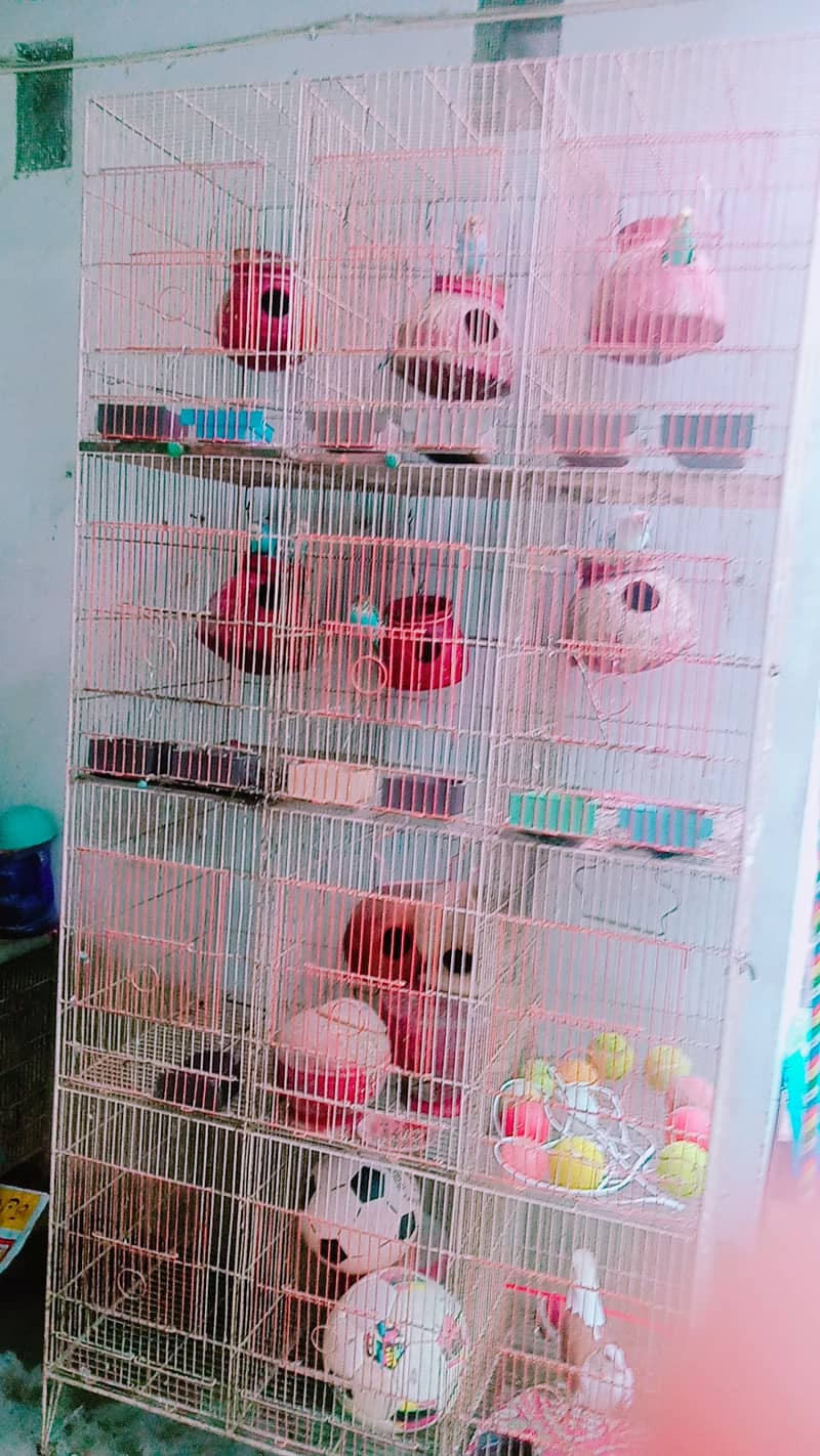 Pinjra/ A cage with 12 boxes is available for sale 2