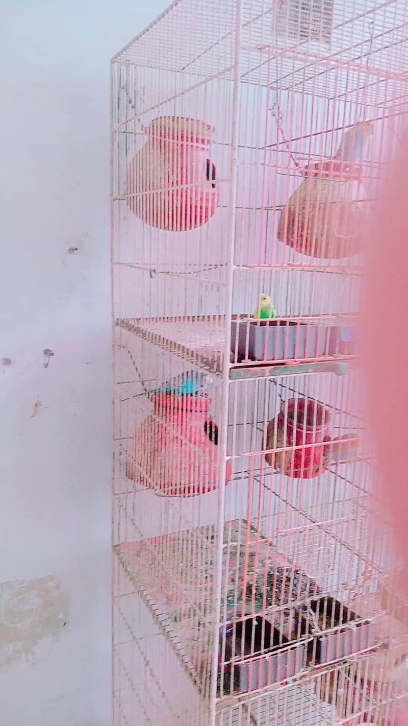 Pinjra/ A cage with 12 boxes is available for sale 3