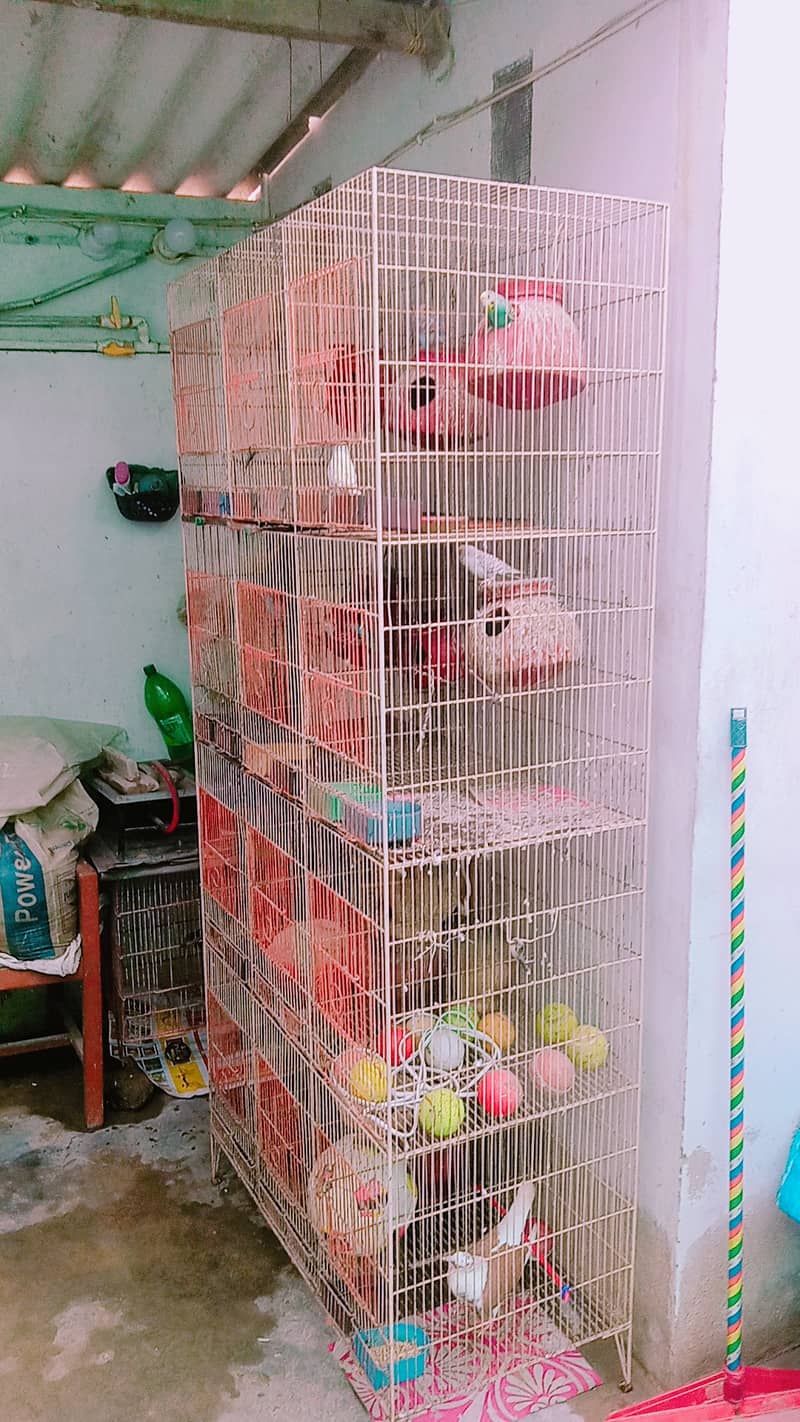 Pinjra/ A cage with 12 boxes is available for sale 4