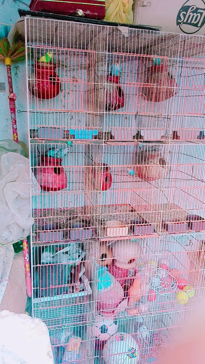 Pinjra/ A cage with 12 boxes is available for sale 7