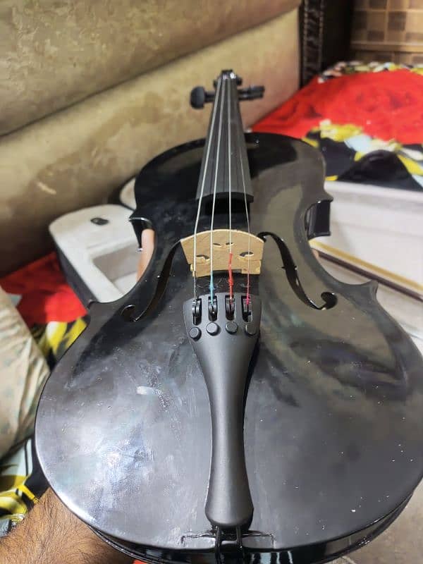 Violins For sale urgent 4