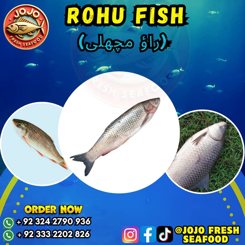 Online Seafood Delivery 1