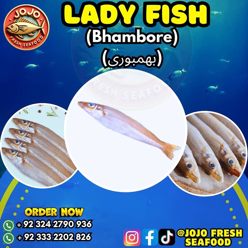 Online Seafood Delivery 4