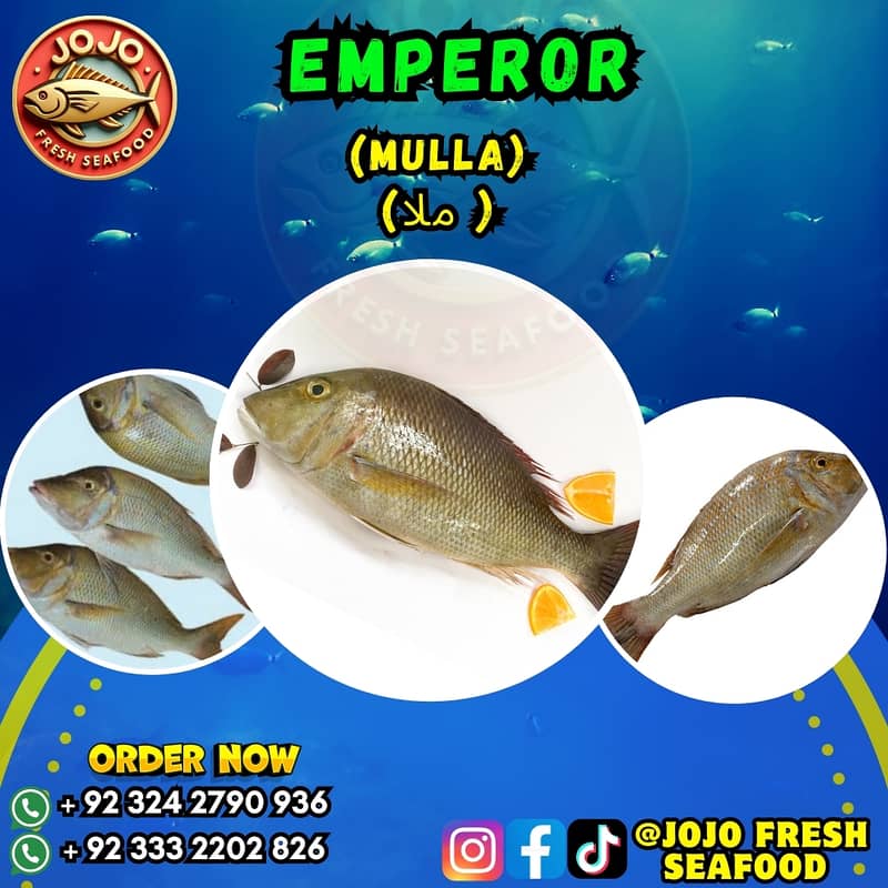 Online Seafood Delivery 6