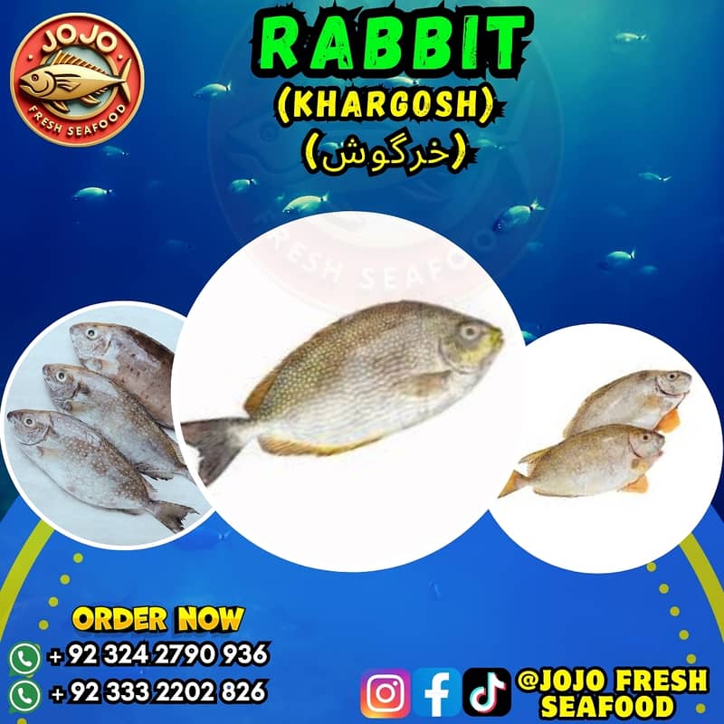 Online Seafood Delivery 18