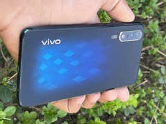 vivo