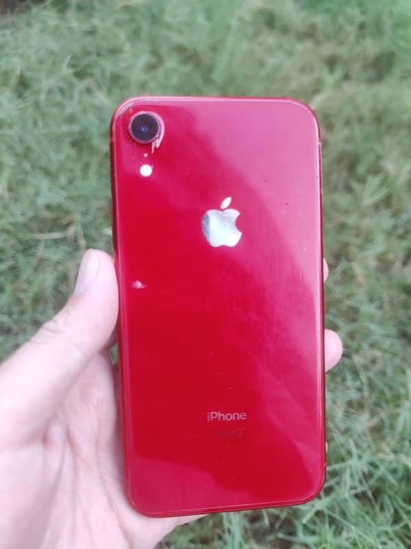 iPhone XR Waterpack Seald 1