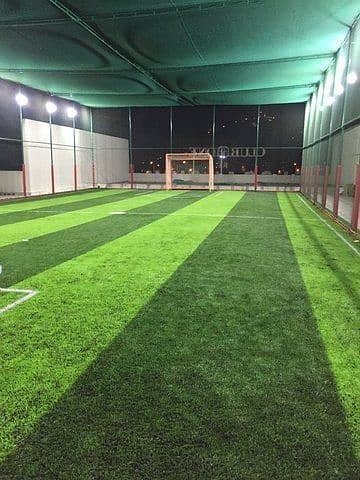 Artifical Grass / Astro truf / Grass Carpet / Field Garss / Roof Grass 4