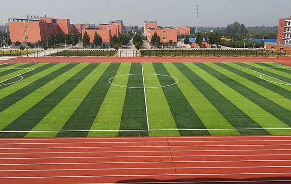 Artificial turf Grass|Football fields,Golf clubs ,Futsal Makers Grass 7