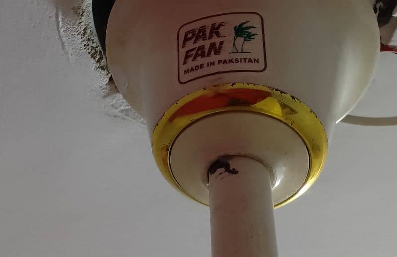 pak fan original fancy golden design ac 3