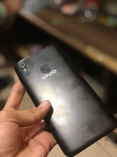 vivo