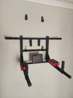 wall mounted pull up and dips bar