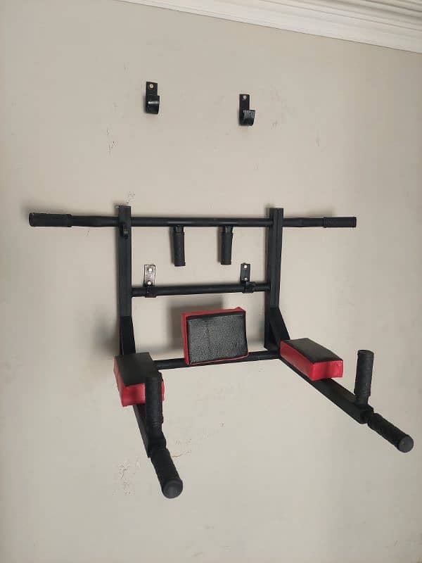 wall mounted pull up and dips bar 0