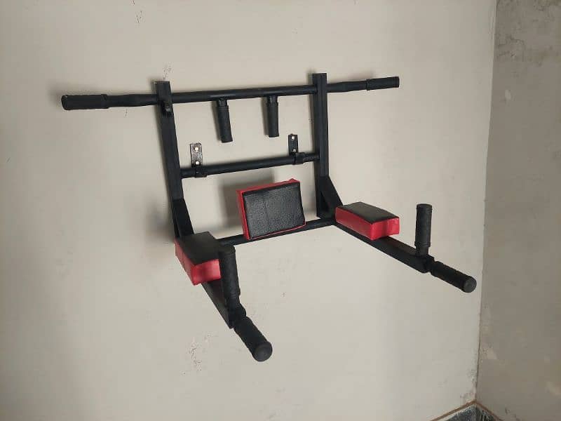 wall mounted pull up and dips bar 1