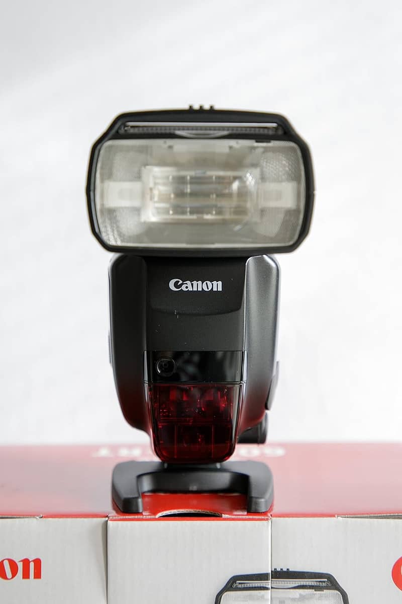 Canon EOS 7D Mark II, DS 401051 flash, 24-70mm IS USM LENS 8