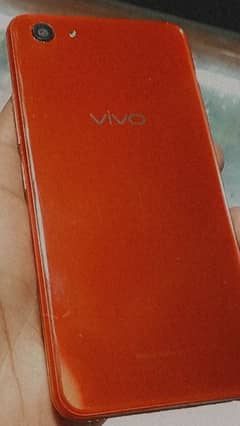 vivo