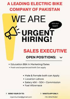 Sales Executive