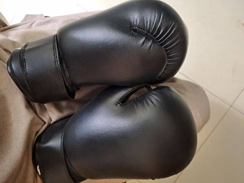 Brand-new boxing gloves 0