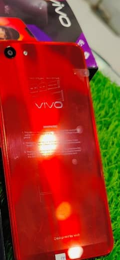 vivo