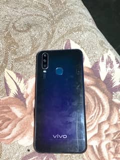 vivo