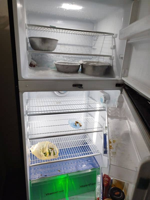 fridge 2