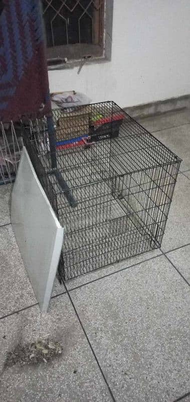 cage for sale 1