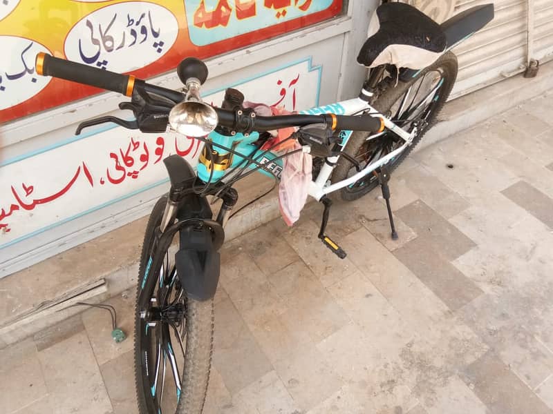 Imported Bicycle Made in Duble 1