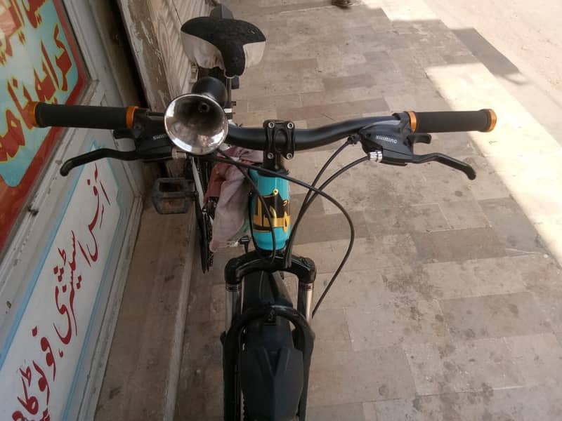 Imported Bicycle Made in Duble 2