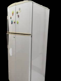 Pel Fridge -Get this Pel fridge for just PKR 24,989! I