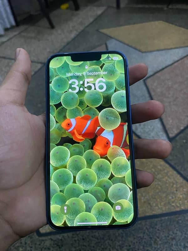 iphone 13 non pta factory unlock 128 gb 5