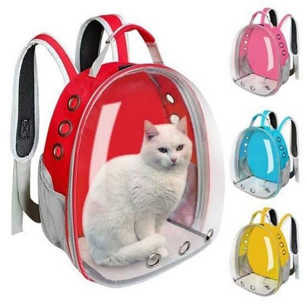 pet carrying bag 1