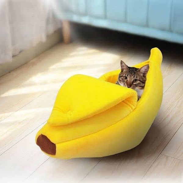 banana pet house 2