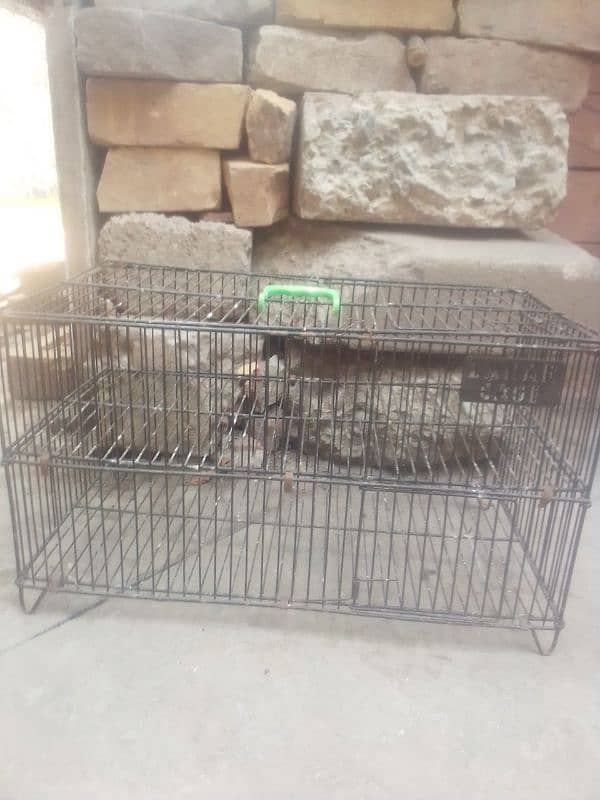 used cages and cargo cages for sale 2