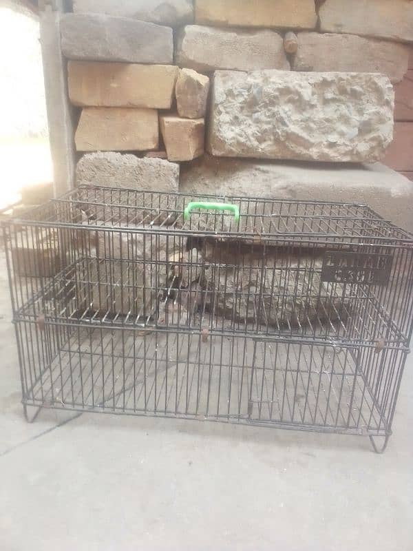 used cages and cargo cages for sale 3